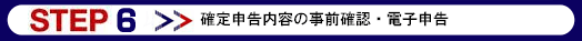 提出前の確認後電子申告