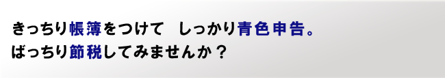 きっちり帳簿をつけてしっかり青色申告。ばっちり節税してみませんか？